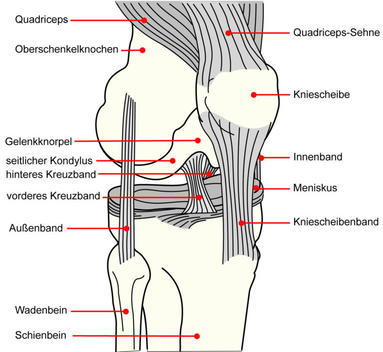 Ihre Gelenkschmerzen Knie Schwaebisches Gelenkzentrum De